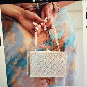 12th Tribe: See through / Clear Elegant Hand Bag or Clutch